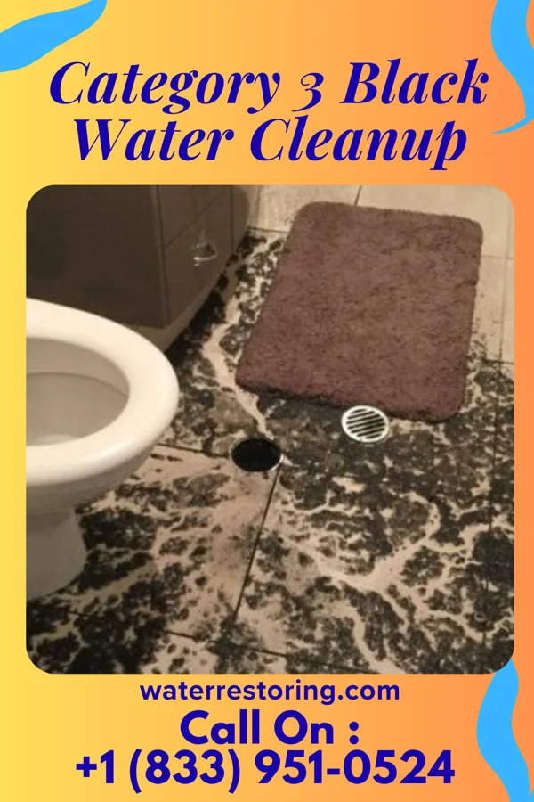 Category 3 Black Water Cleanup in Trooper, PA