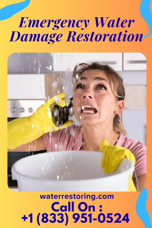 Emergency Water Damage Restoration in Trooper, PA