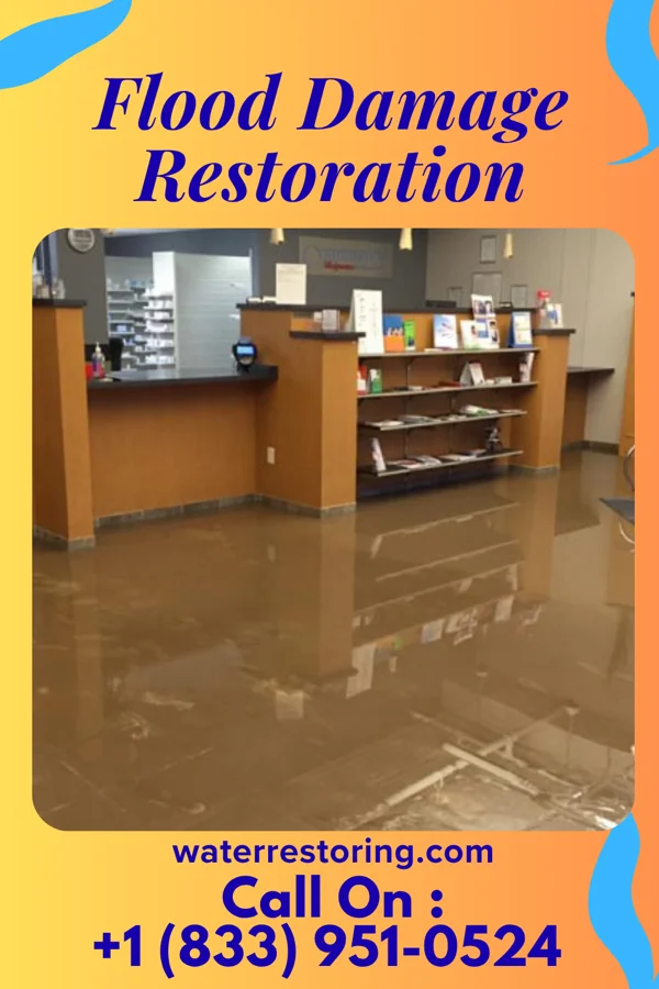 Flood Damage Restoration in Trooper, PA