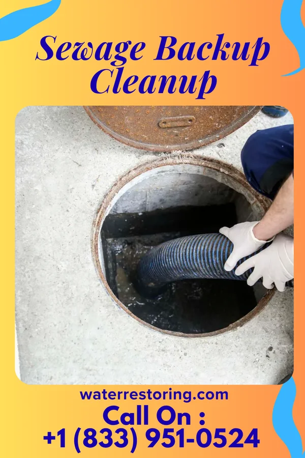 Sewage Backup Cleanup in Trooper, PA